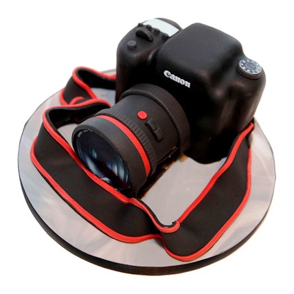 2kg Camera Cake